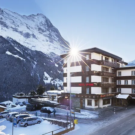 Spinne Hotel Grindelwald