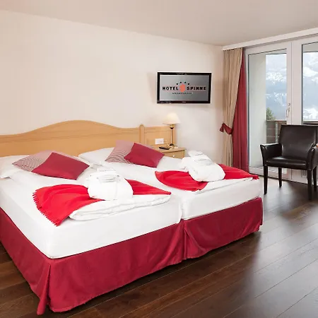 Spinne 4* Γκρίντελβαλντ