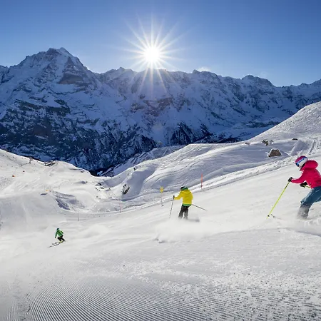 Otel Spinne Grindelwald