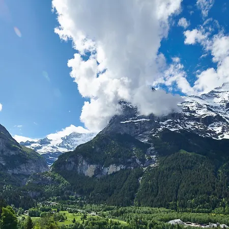 Spinne Hotel Grindelwald