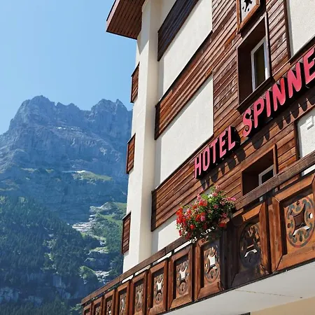 Spinne Hotel Grindelwald