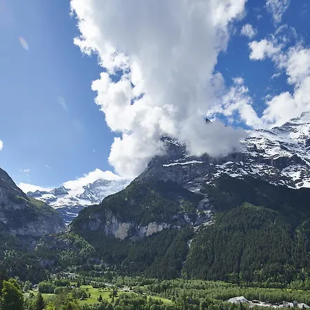 Spinne 4* Grindelwald