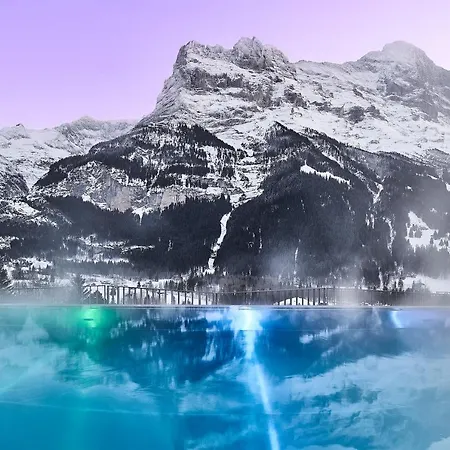Spinne Hotel Grindelwald