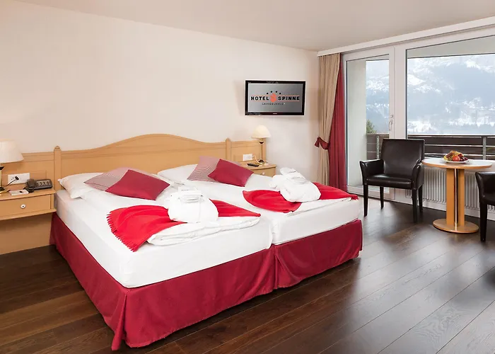 Spinne 4* Grindelwald