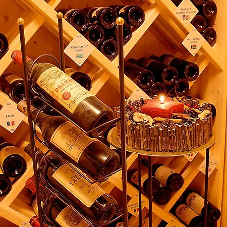 格林德尔瓦尔德斯宾纳酒店 格林德瓦