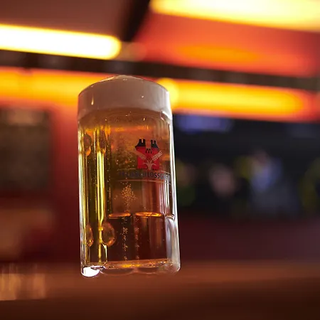 格林德尔瓦尔德斯宾纳酒店