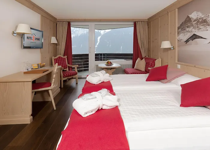 Spinne Hotel Grindelwald