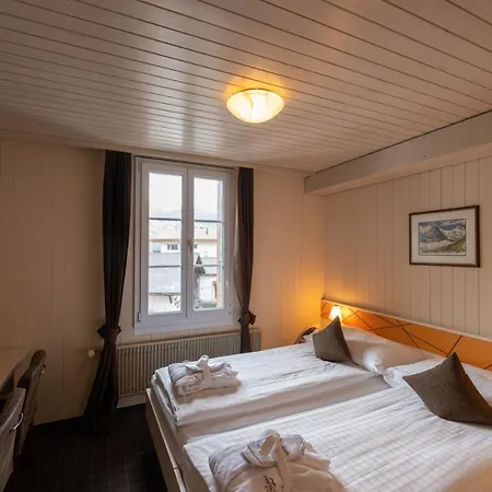 Spinne Hotel