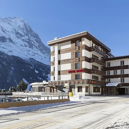 Spinne Hotel