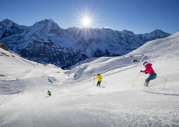 Hotel Spinne Grindelwald